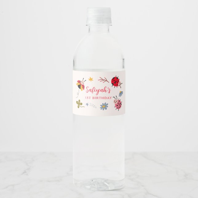 Ladybug Girl Birthday Party Water Bottle Label (Front)