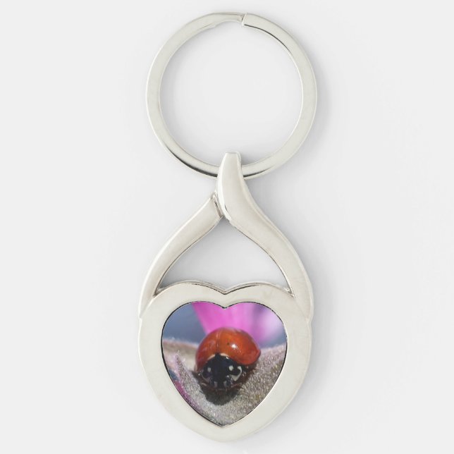 Ladybug Heart Key Ring (Front)