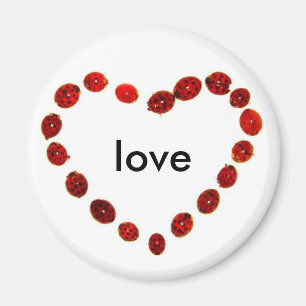 Ladybug Heart Love Magnet