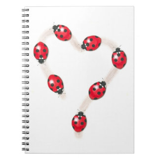 Ladybug Heart Notebook