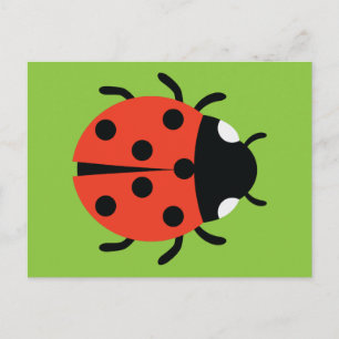 Ladybug Illustration Postcard
