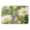 Ladybug in a Daisy Garden