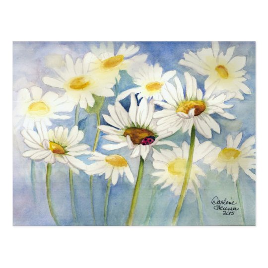 Ladybug in Daisies Postcard