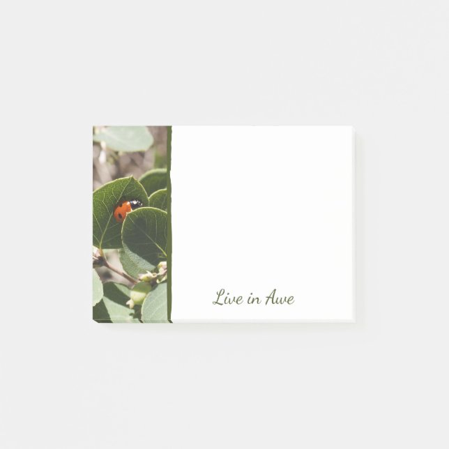 Ladybug in Green Leaves Notes (Front)