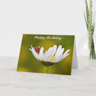 Ladybug in Oxeye Daisy Birthday Card