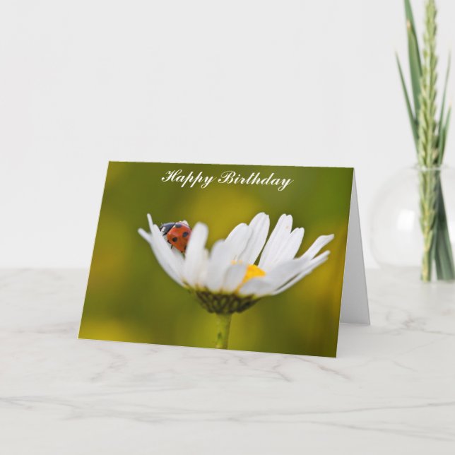 Ladybug in Oxeye Daisy Birthday Card (Front)