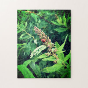 Ladybug in Spring Jigsaw Puzzle