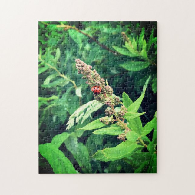 Ladybug in Spring Jigsaw Puzzle (Vertical)