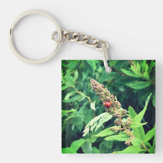Ladybug in Spring Key Ring (Front)