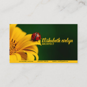 ladybug insect ladybird beetle business card