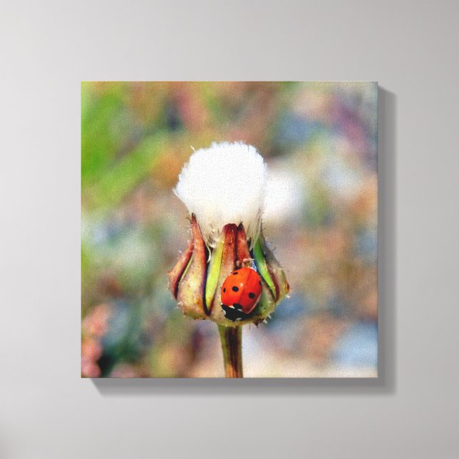 Ladybug insect spring green red cute environment C Canvas Print (Front)