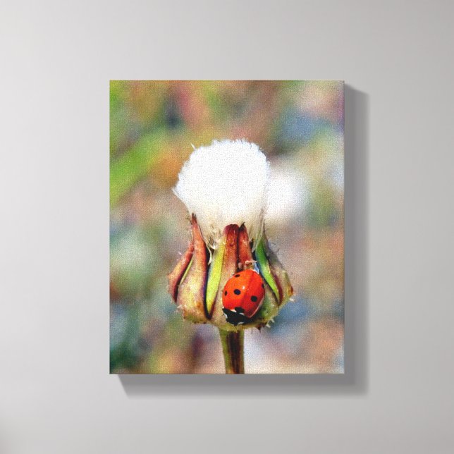Ladybug insect spring green red cute environment C Canvas Print (Front)