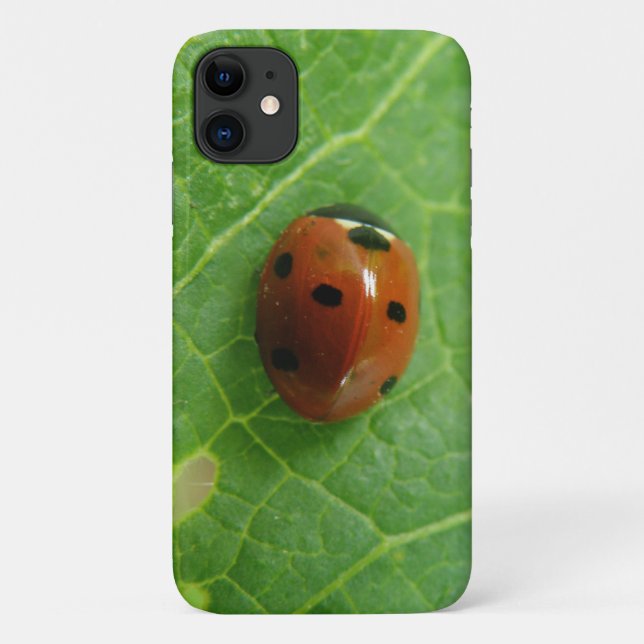 Ladybug iPhone 3 Case (Back)