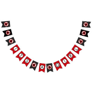 Ladybug It's A Girl Baby Shower Hanging Banner