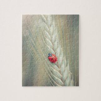 Ladybug Jigsaw Puzzle