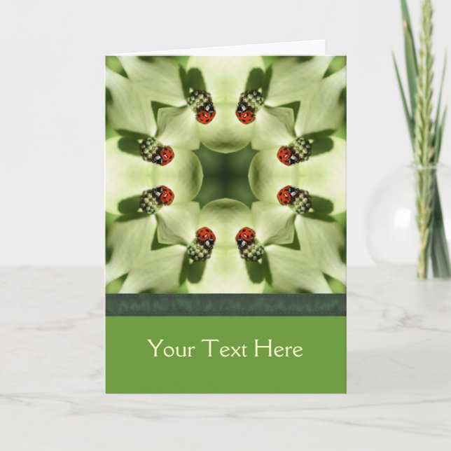 Ladybug Kaleidoscope Nature Photo Card (Front)