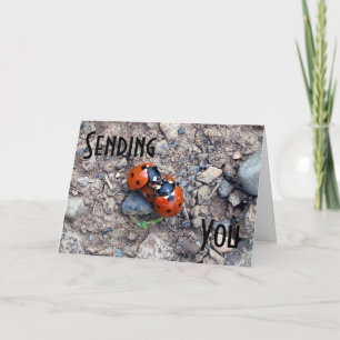 Ladybug Kisses Card