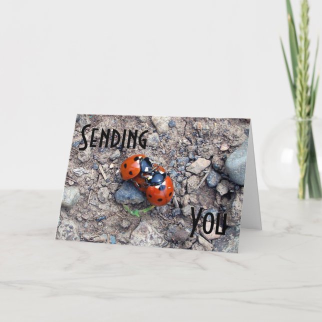 Ladybug Kisses Card (Front)