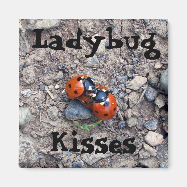 Ladybug Kisses Magnet (Front)