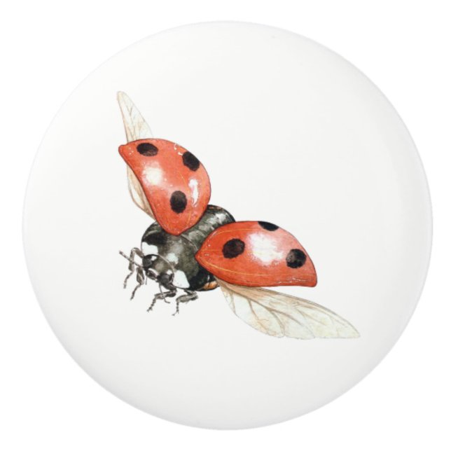 ladybug knob (Front)