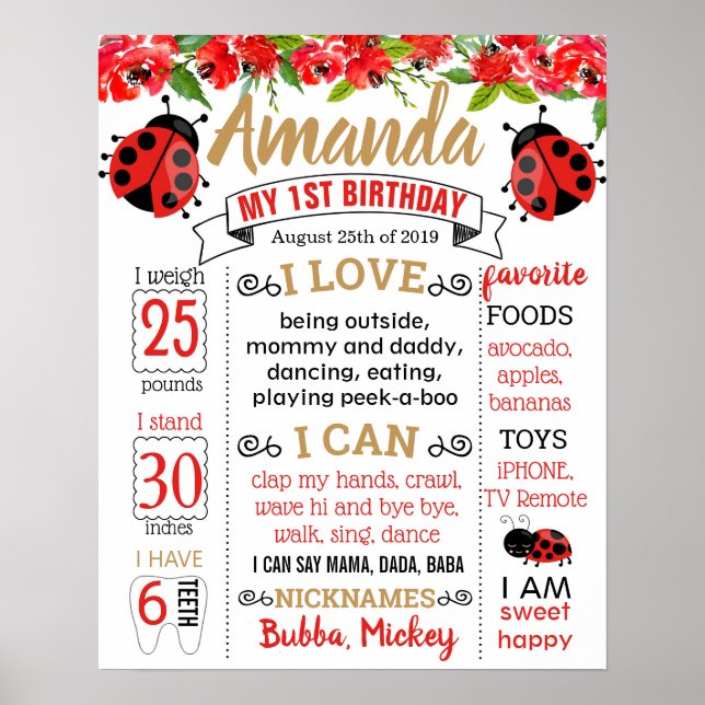 Ladybug Lady bug Birthday Party board Poster (Front)
