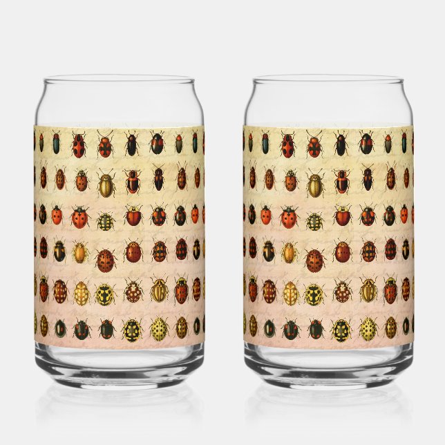 Ladybug Ladybird Beetle Insect Bug Can Glass (Front)
