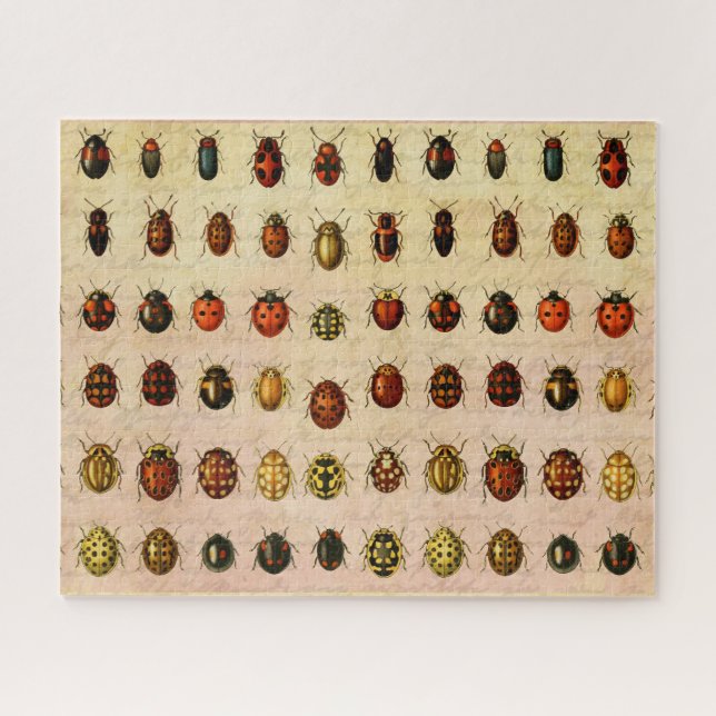 Ladybug Ladybird Beetle Insect Bug Jigsaw Puzzle (Horizontal)