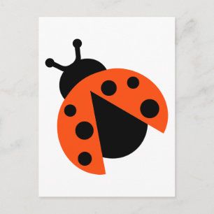 Ladybug ladybird postcard