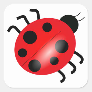 Ladybug - Ladybird Square Sticker
