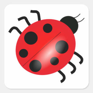 Ladybug - Ladybird Square Sticker