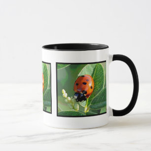 Ladybug, Ladybug ~ Mug