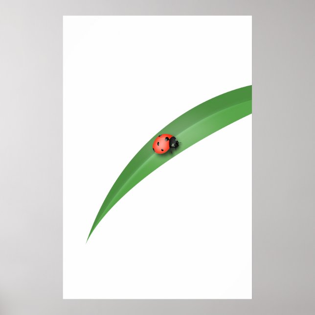 Ladybug Leaf Poster (Front)
