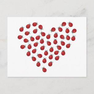 Ladybug Love Heart Postcard