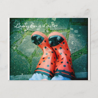 Ladybug love postcard