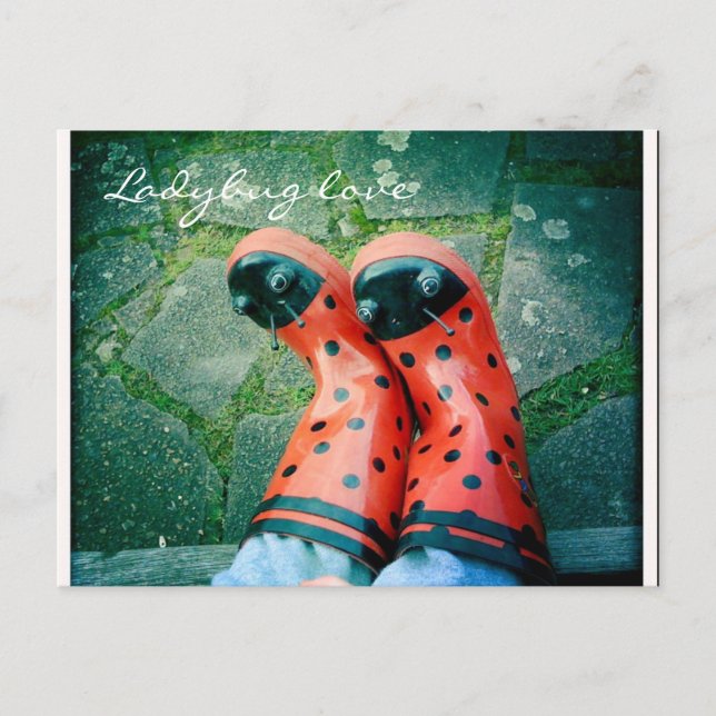 Ladybug love postcard (Front)