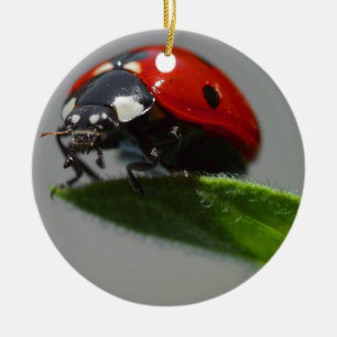 Ladybug Lovers Art Ceramic Tree Decoration