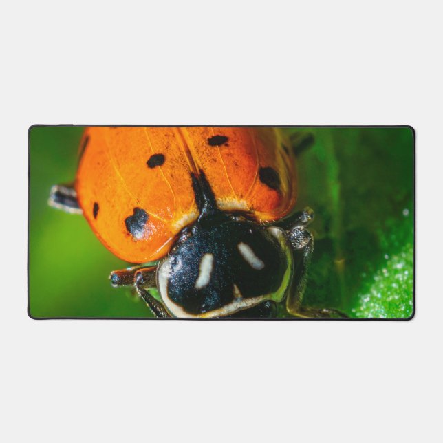 Ladybug Macro Desk Mat | Colourful Botanical Art (Front)