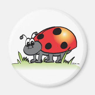 Ladybug Magnet