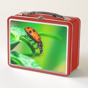 Ladybug Metal Lunchbox Macro Nature Design