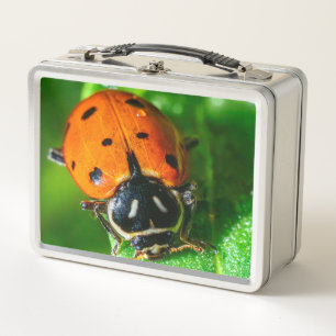 Ladybug Metal Lunchbox Macro Nature Design