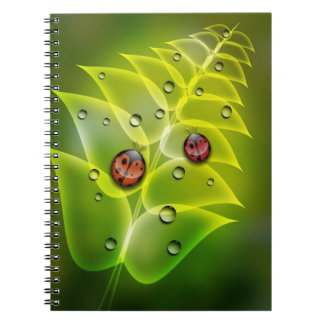 Ladybug Morning Notebook