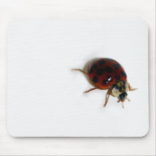 Ladybug Mouse Mat