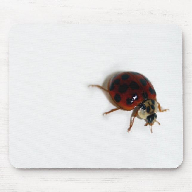 Ladybug Mouse Mat (Front)