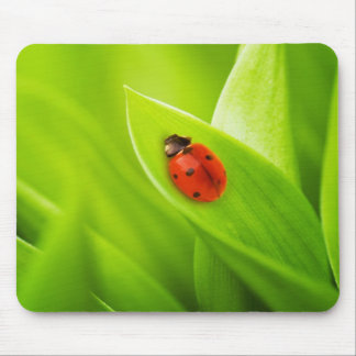 Ladybug Mouse Mat