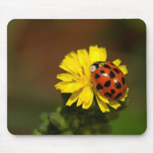 Ladybug Mouse Mat