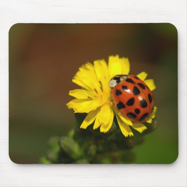 Ladybug Mouse Mat (Front)