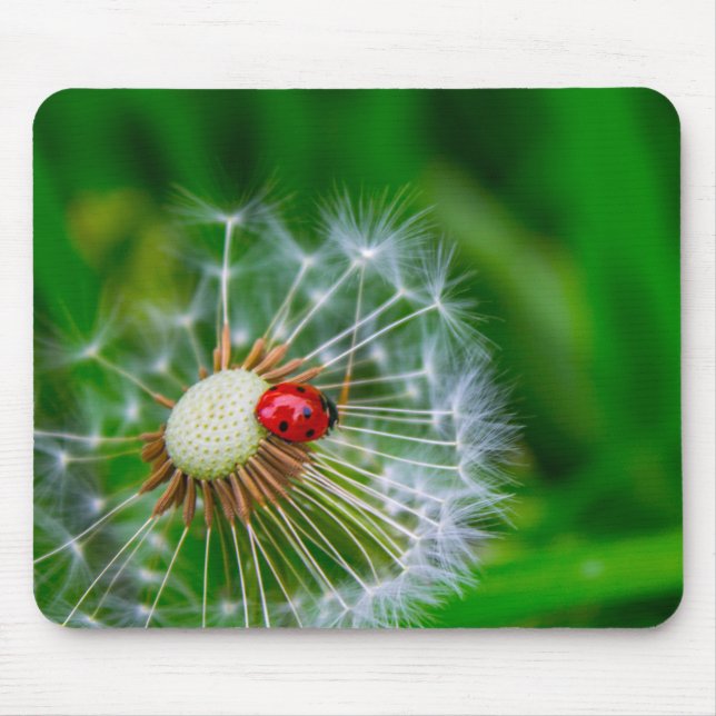 LadyBug Mouse Mat (Front)