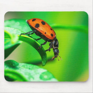 Ladybug Mouse Pad Vibrant Macro Nature Photo
