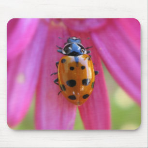Ladybug Mousepad
