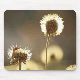 Ladybug Mousepad